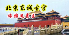 美女肥逼无毛插大黑鸡巴中国北京-东城古宫旅游风景区